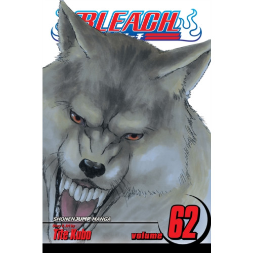Viz Media, Subs. of Shogakukan Inc Bleach, Vol. 62 (häftad, eng)