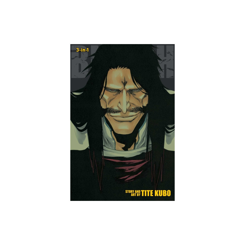 Produktbild för Bleach (3-in-1 Edition), Vol. 19 (häftad, eng)