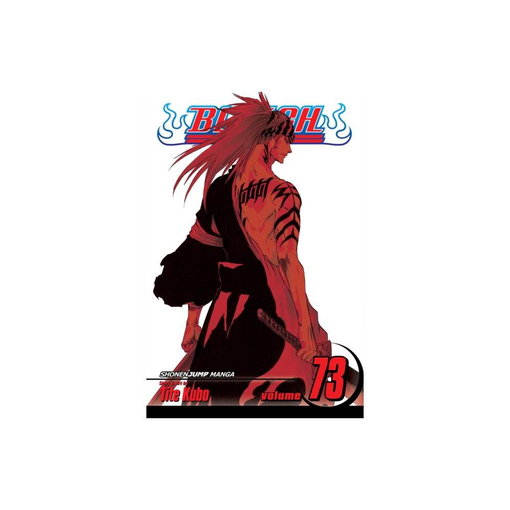 Produktbild för Bleach, Vol. 73 (häftad, eng)