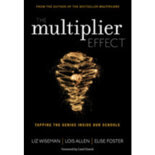 Sage publications inc The Multiplier Effect (häftad, eng)