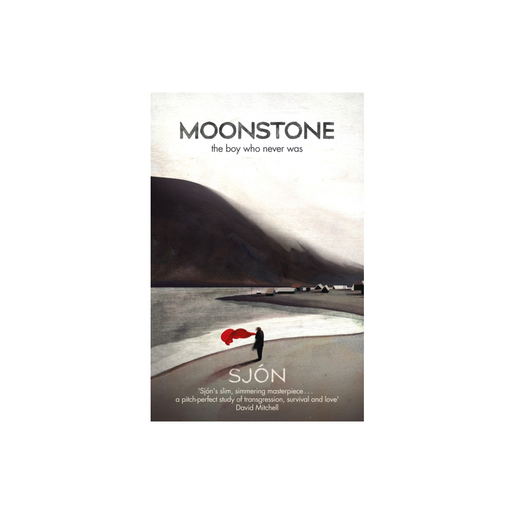 Produktbild för Moonstone: The Boy Who Never Was (häftad, eng)