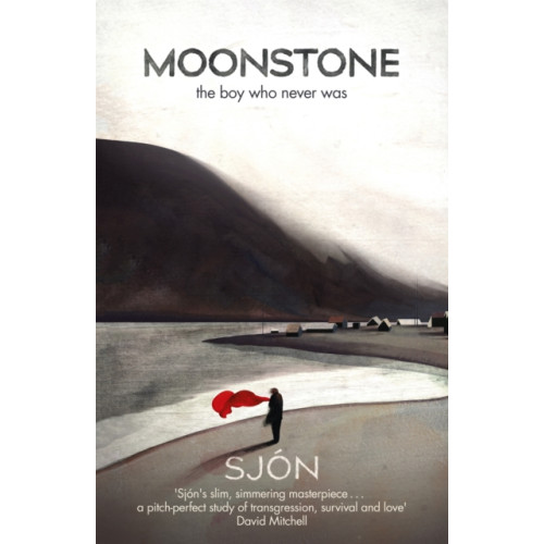Hodder & Stoughton Moonstone: The Boy Who Never Was (häftad, eng)