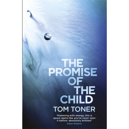 Orion Publishing Co The Promise of the Child (häftad, eng)