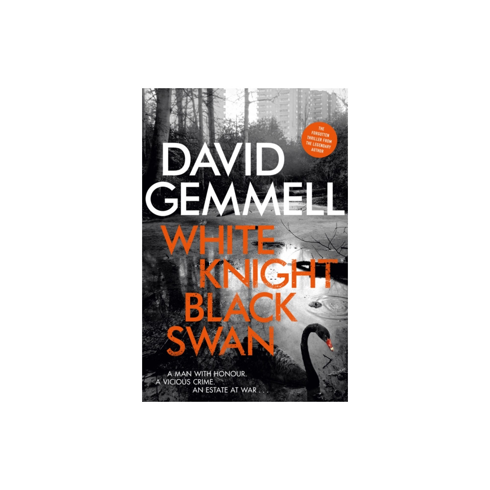 Produktbild för White Knight/Black Swan (häftad, eng)