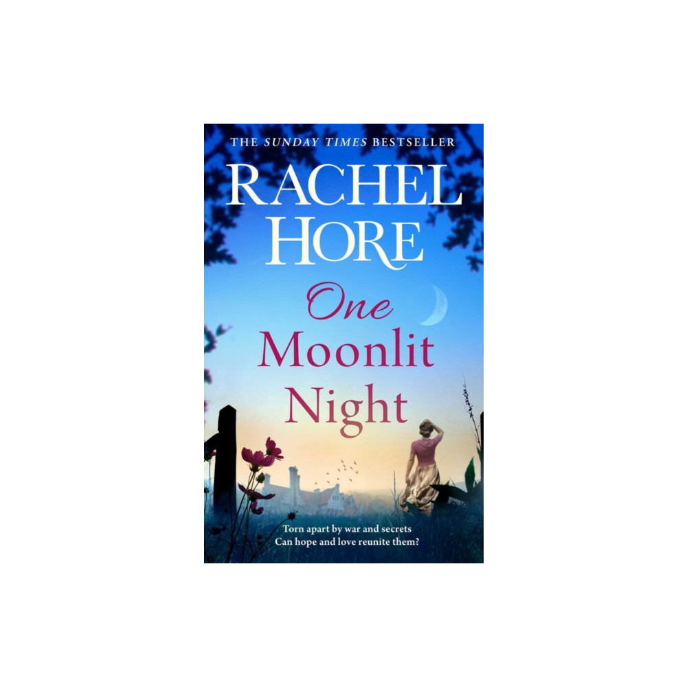 Produktbild för One Moonlit Night (inbunden, eng)