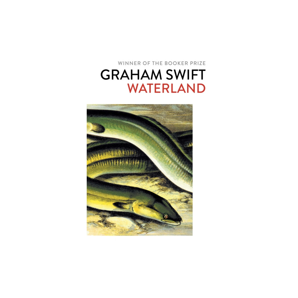 Produktbild för Waterland (häftad, eng)