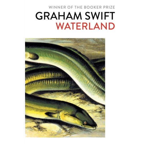Simon & Schuster Ltd Waterland (häftad, eng)