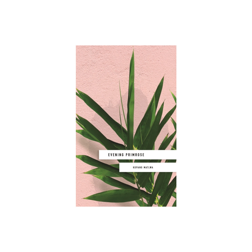 Produktbild för Evening Primrose: a heart-wrenching novel for our times (häftad, eng)