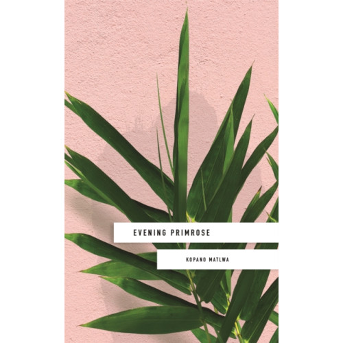 Hodder & Stoughton Evening Primrose: a heart-wrenching novel for our times (häftad, eng)