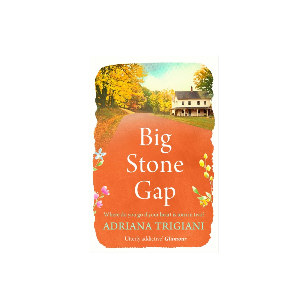 Produktbild för Big Stone Gap (häftad, eng)
