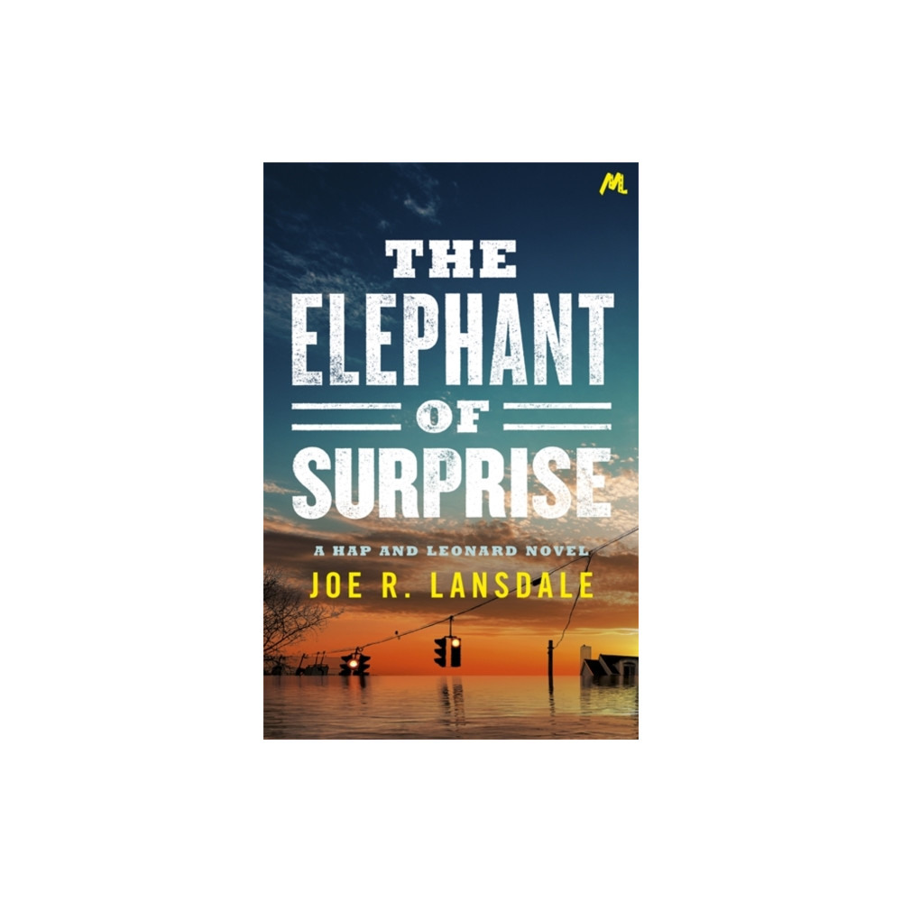 Produktbild för The Elephant of Surprise (häftad, eng)