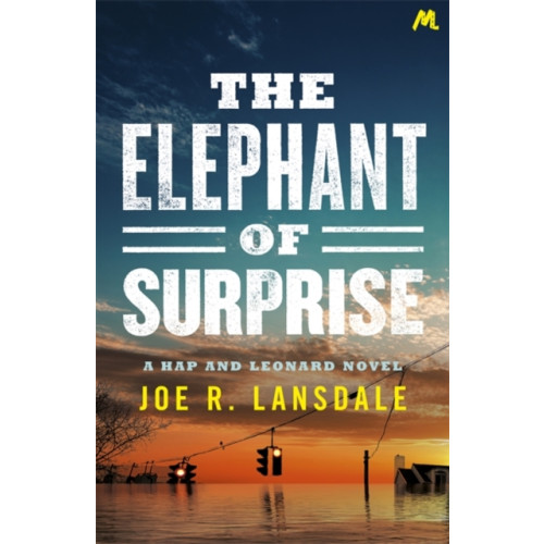 Hodder & Stoughton The Elephant of Surprise (häftad, eng)