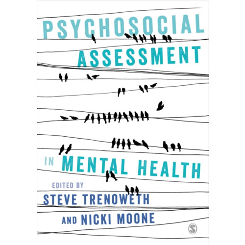 Sage Publications Ltd Psychosocial Assessment in Mental Health (häftad, eng)