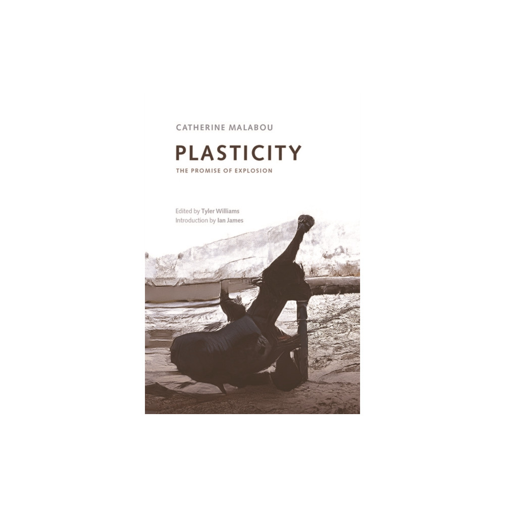 Produktbild för Plasticity (häftad, eng)