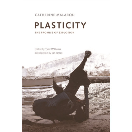 Edinburgh university press Plasticity (häftad, eng)