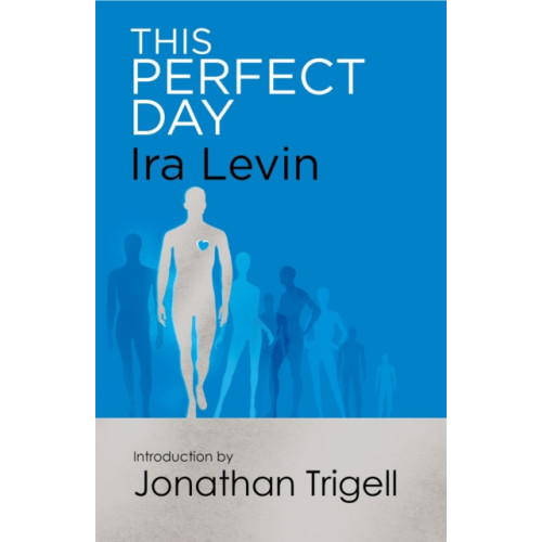 Little, Brown Book Group This Perfect Day (häftad, eng)