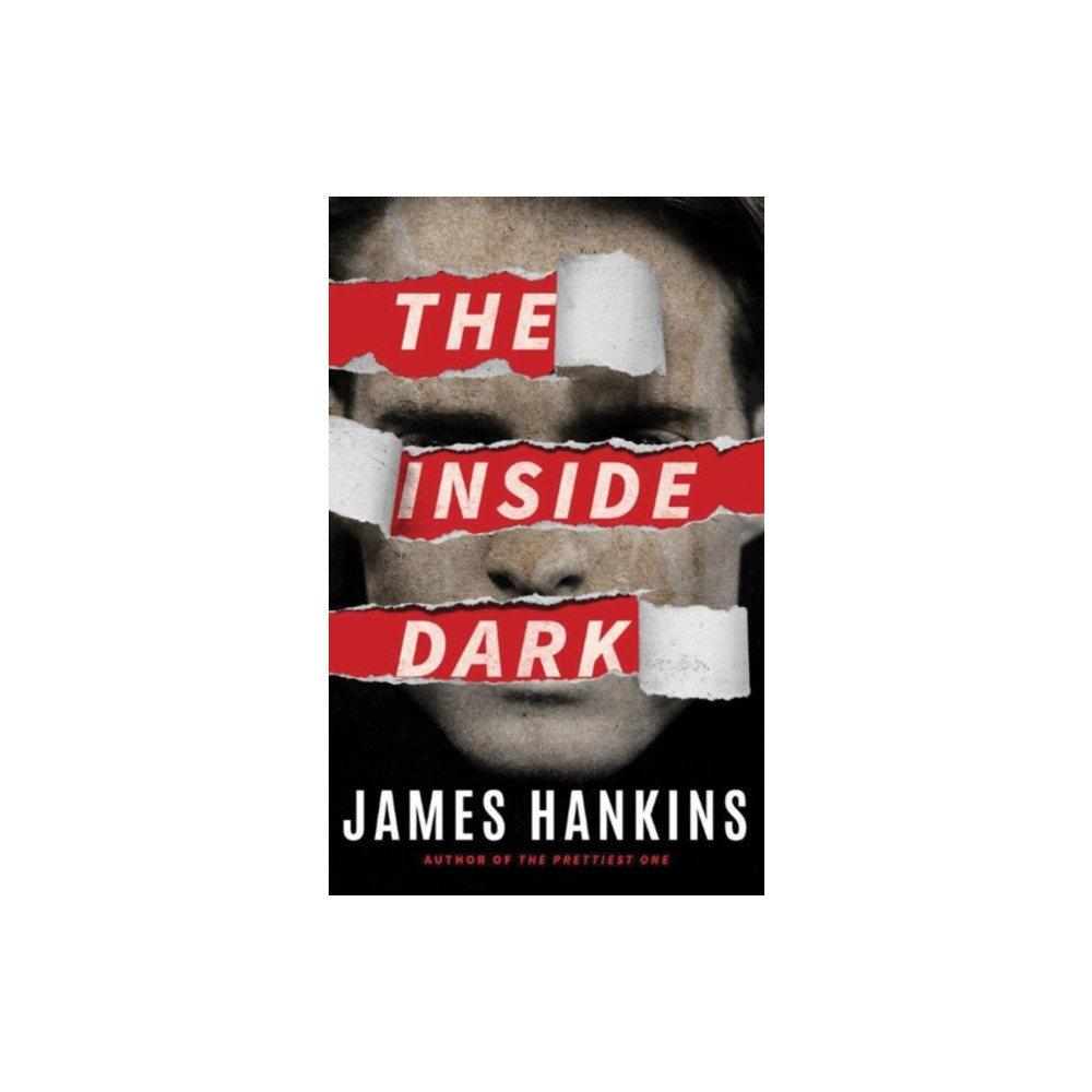 Produktbild för The Inside Dark (häftad, eng)
