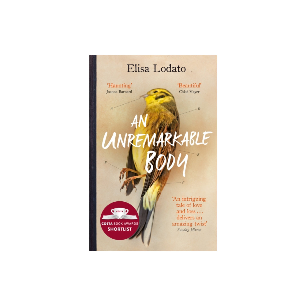 Produktbild för An Unremarkable Body (häftad, eng)