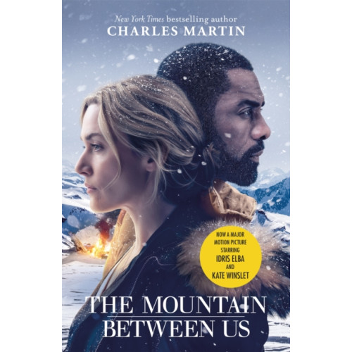 Orion Publishing Co The Mountain Between Us (häftad, eng)