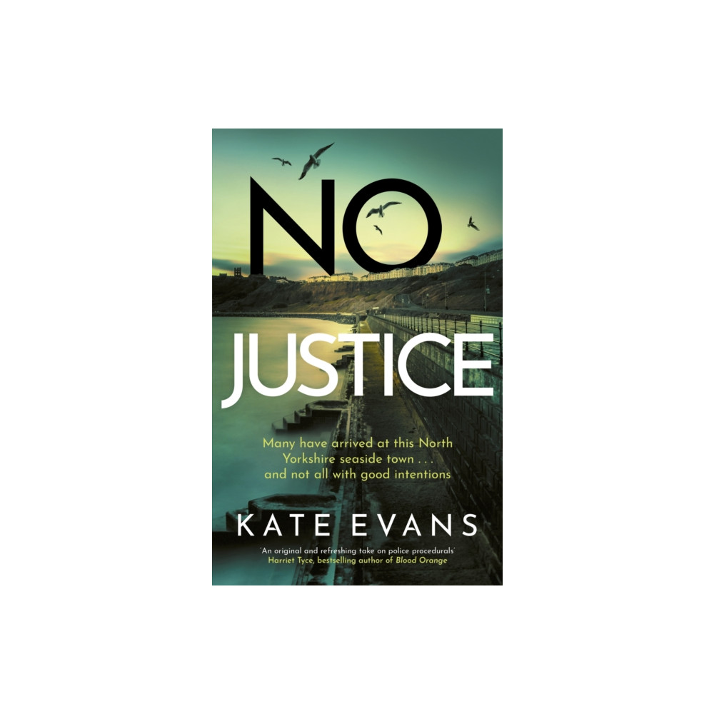 Produktbild för No Justice (häftad, eng)