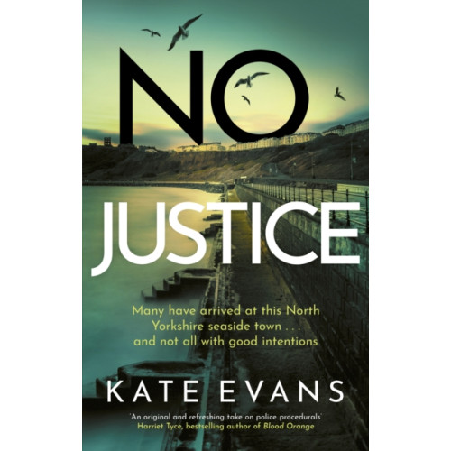 Little, Brown Book Group No Justice (häftad, eng)