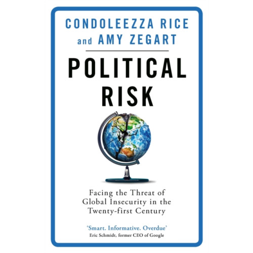 Orion Publishing Co Political Risk (häftad, eng)