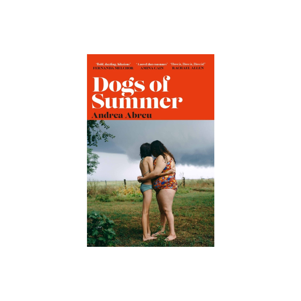 Produktbild för Dogs of Summer (häftad, eng)
