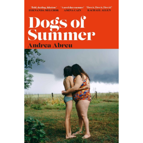 Orion Publishing Co Dogs of Summer (häftad, eng)
