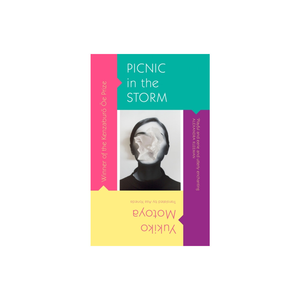 Produktbild för Picnic in the Storm (häftad, eng)