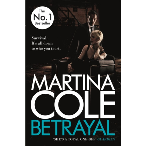 Headline Publishing Group Betrayal (häftad, eng)