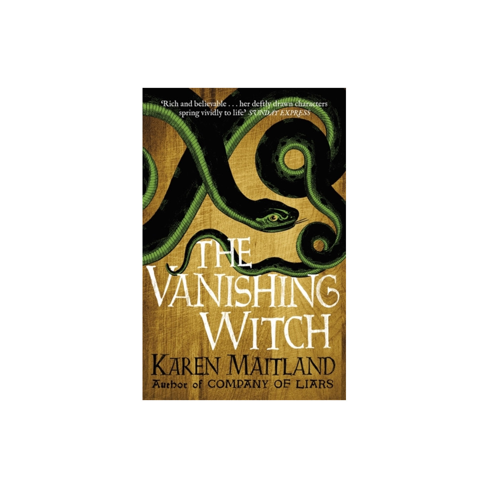 Produktbild för The Vanishing Witch (häftad, eng)