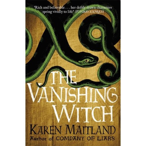 Headline Publishing Group The Vanishing Witch (häftad, eng)