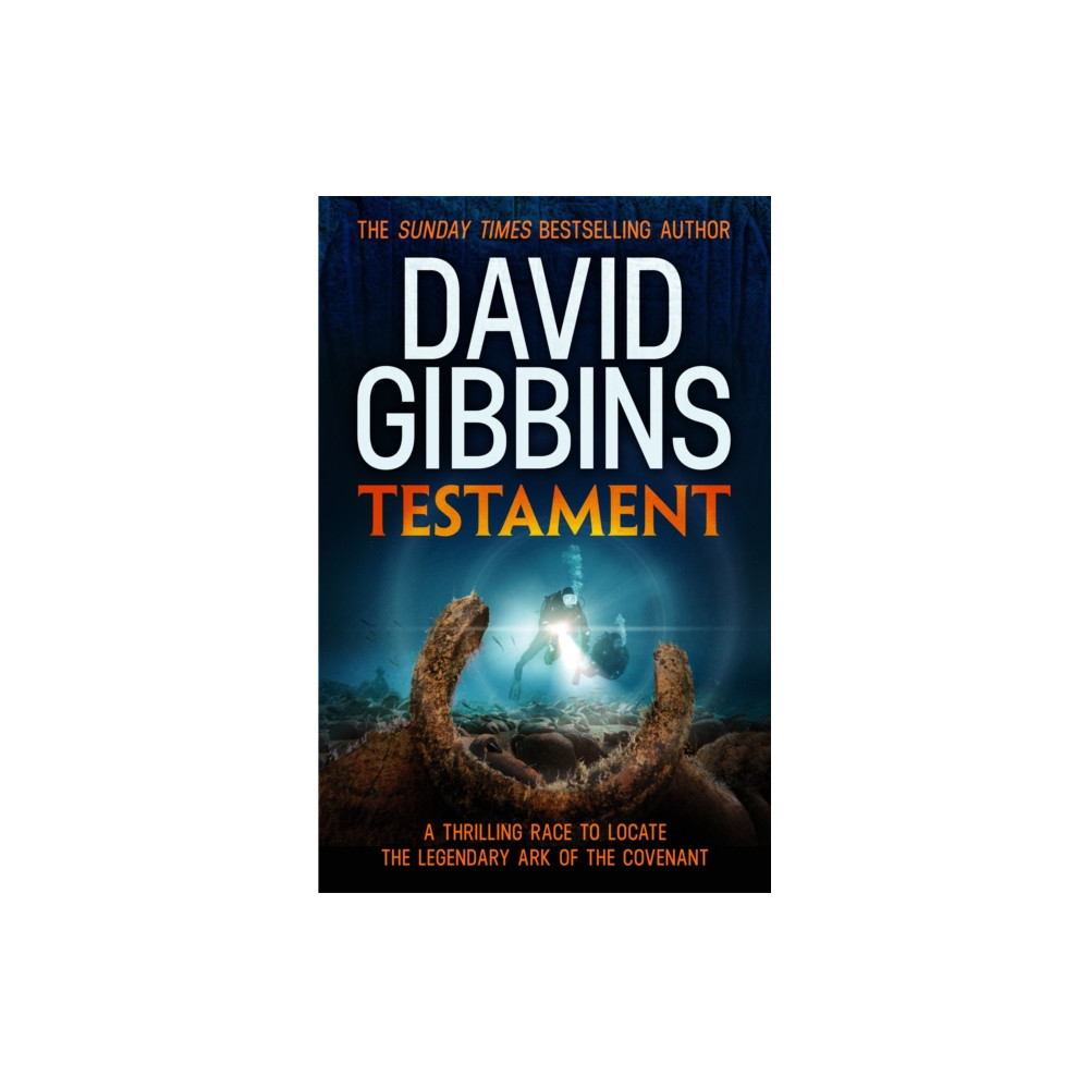 Produktbild för Testament (häftad, eng)