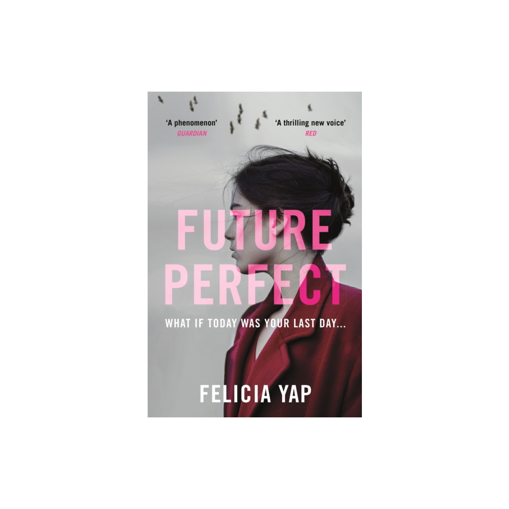 Produktbild för Future Perfect (häftad, eng)