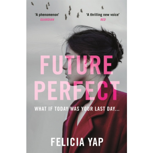 Headline Publishing Group Future Perfect (häftad, eng)