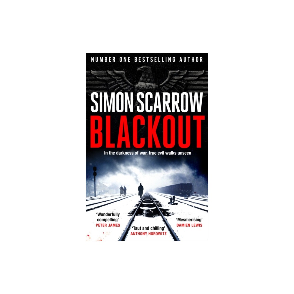 Produktbild för Blackout (häftad, eng)