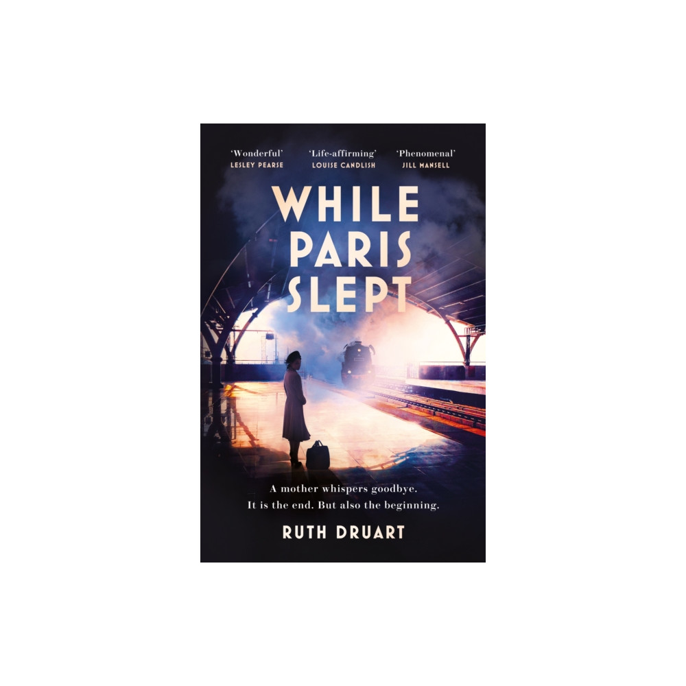 Produktbild för While Paris Slept (häftad, eng)