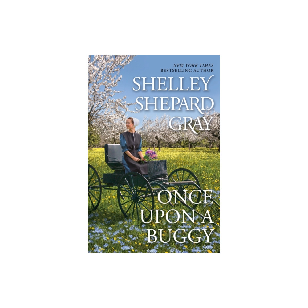 Produktbild för Once Upon a Buggy (häftad, eng)