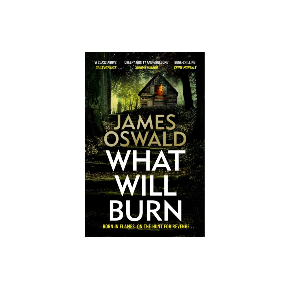 Produktbild för What Will Burn (häftad, eng)