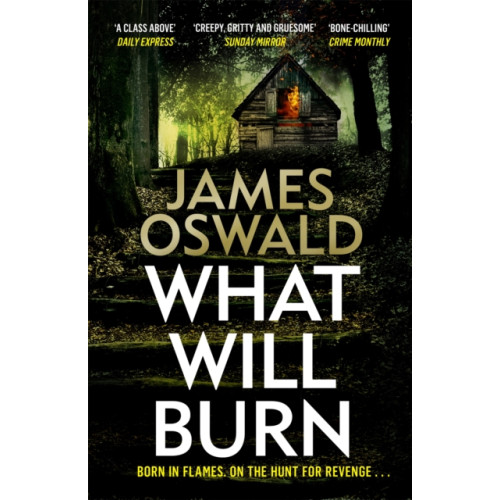 Headline Publishing Group What Will Burn (häftad, eng)