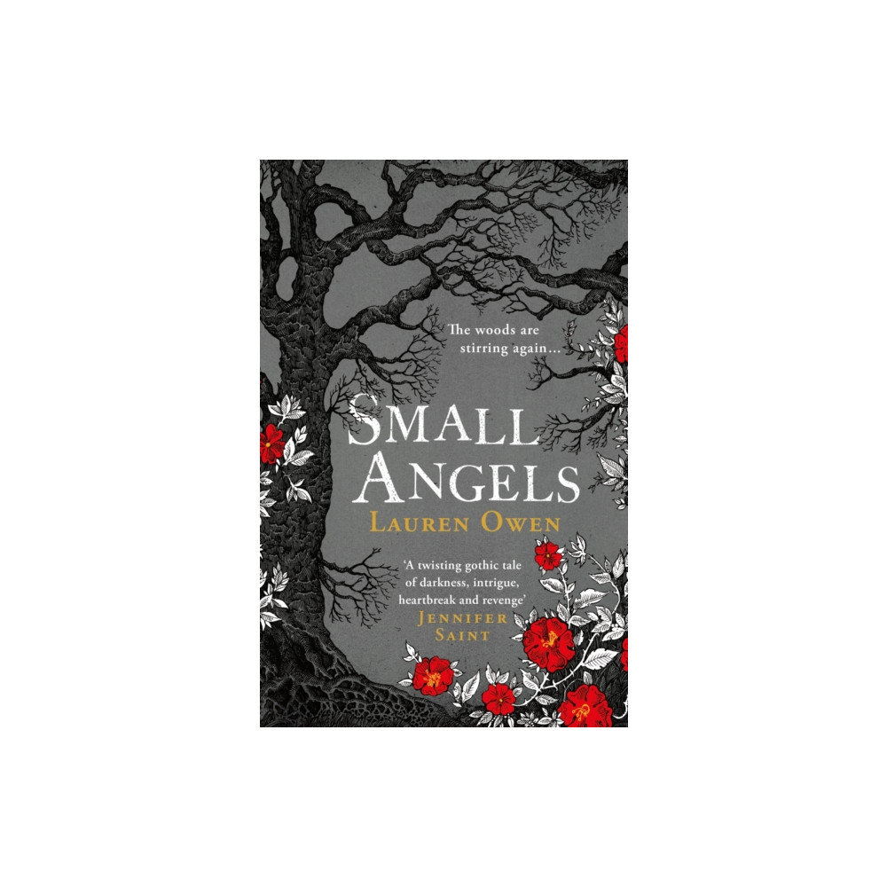 Produktbild för Small Angels (häftad, eng)