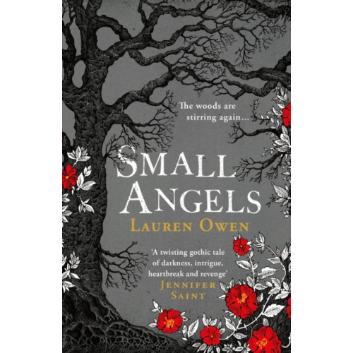 Headline Publishing Group Small Angels (häftad, eng)
