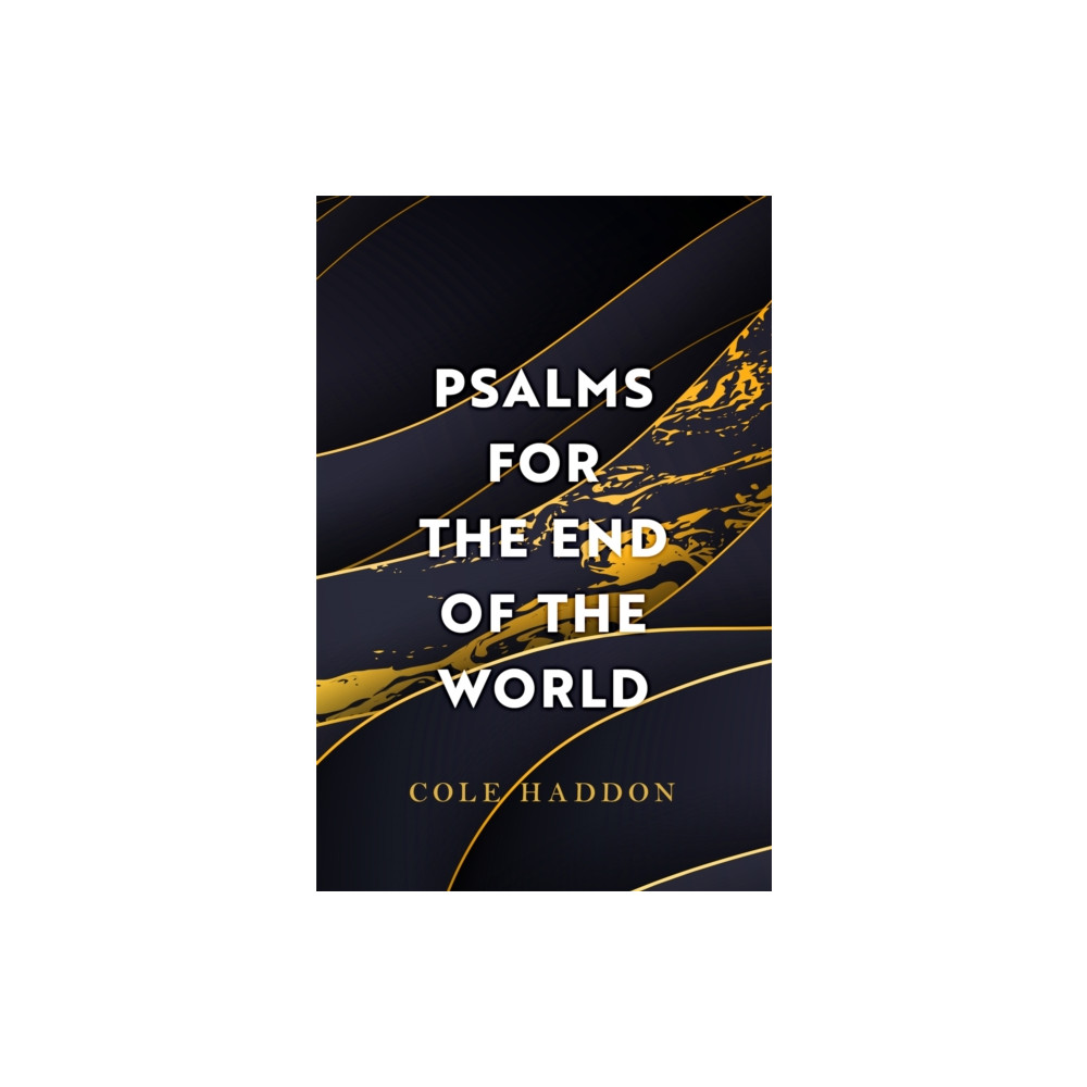 Produktbild för Psalms For The End Of The World (häftad, eng)