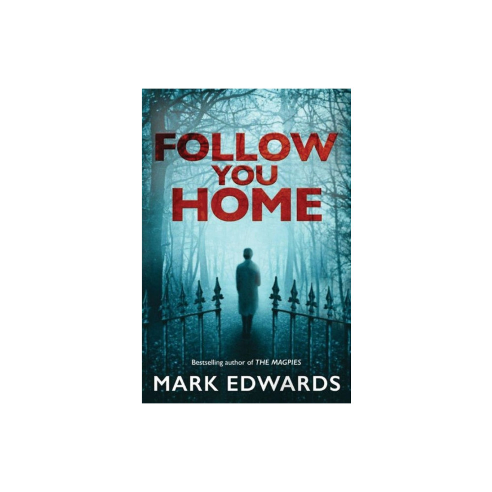 Produktbild för Follow You Home (häftad, eng)