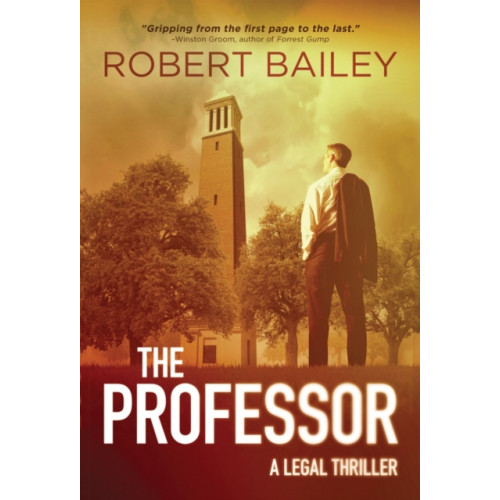 Amazon Publishing The Professor (häftad, eng)