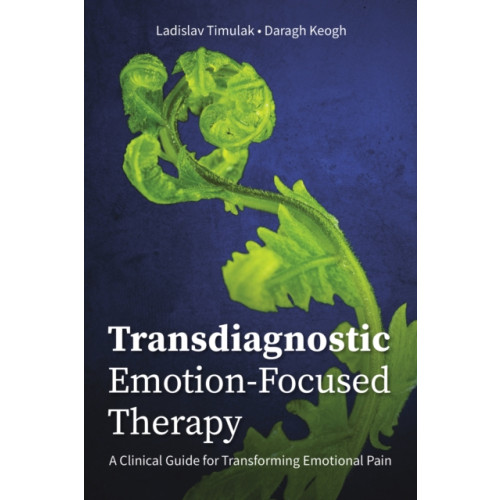 American Psychological Association Transdiagnostic Emotion-Focused Therapy (häftad, eng)