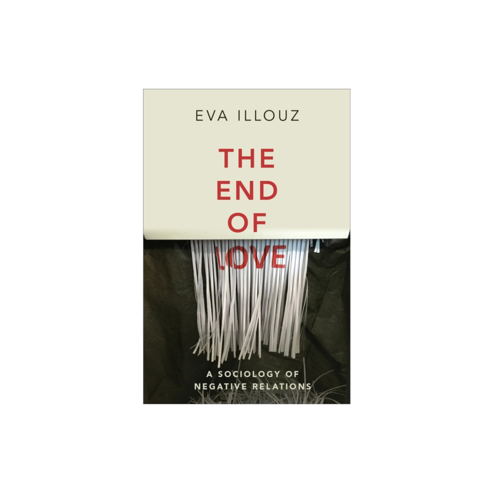 Produktbild för The End of Love (häftad, eng)