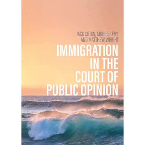 John Wiley And Sons Ltd Immigration in the Court of Public Opinion (häftad, eng)