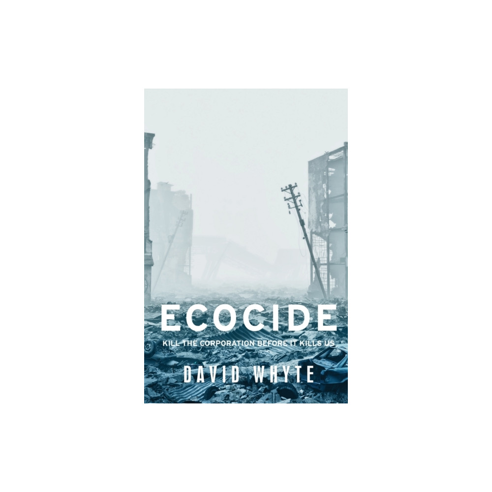 Produktbild för Ecocide (häftad, eng)