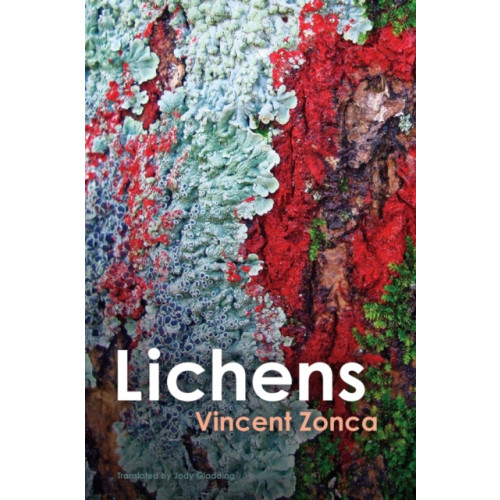 John Wiley And Sons Ltd Lichens (häftad, eng)